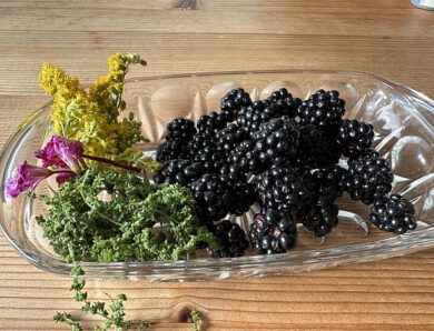 Salatzugabe – Kräuter und Früchte von unserer heutigen Wanderung