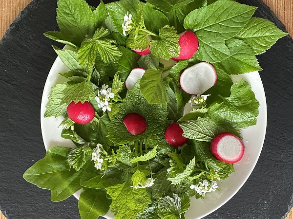 Wildkräutersalat von unterwegs